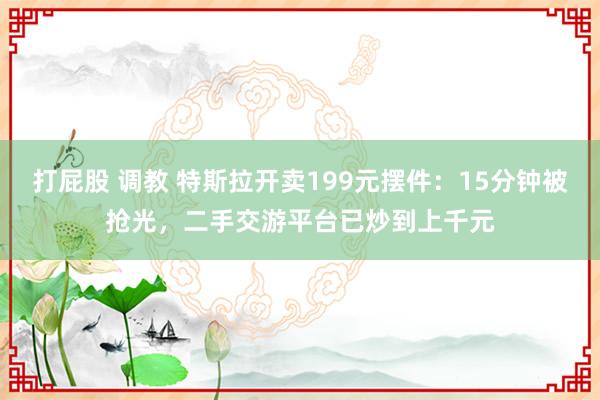 打屁股 调教 特斯拉开卖199元摆件：15分钟被抢光，二手交