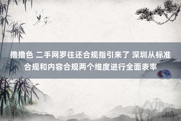 撸撸色 二手网罗往还合规指引来了 深圳从标准合规和内容合规两