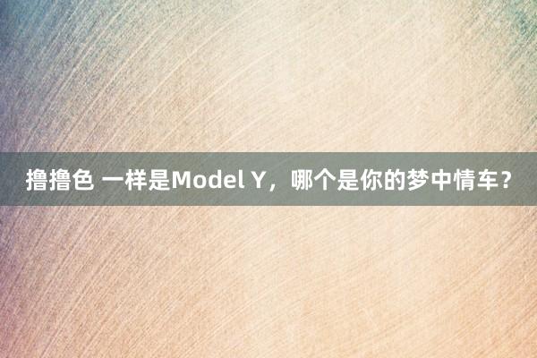 撸撸色 一样是Model Y，哪个是你的梦中情车？