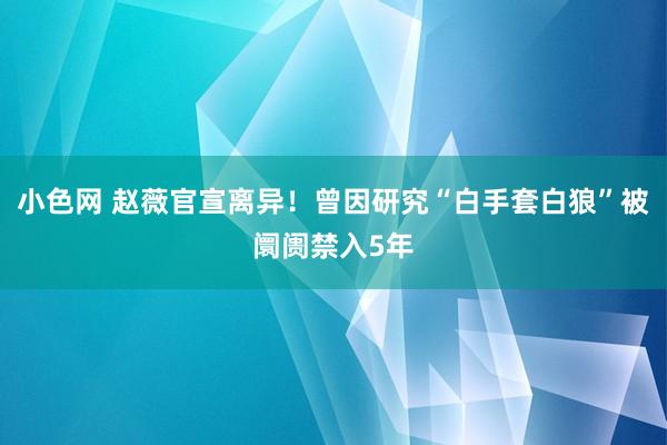 小色网 赵薇官宣离异！曾因研究“白手套白狼”被阛阓禁入5年