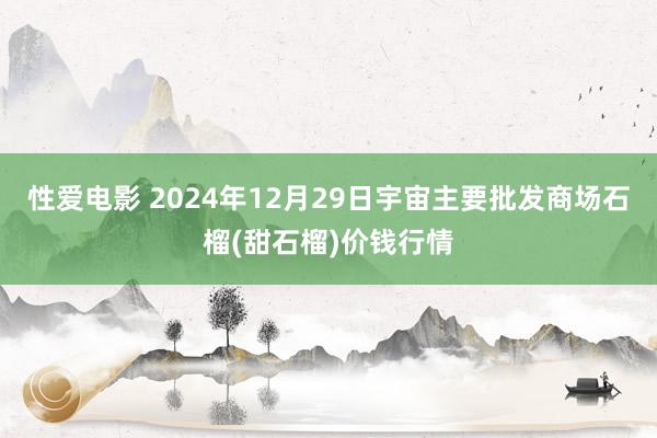 性爱电影 2024年12月29日宇宙主要批发商场石榴(甜石榴)价钱行情