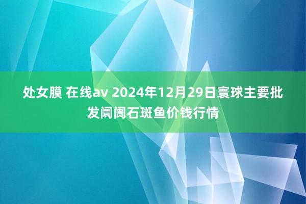 处女膜 在线av 2024年12月29日寰球主要批发阛阓石斑鱼价钱行情