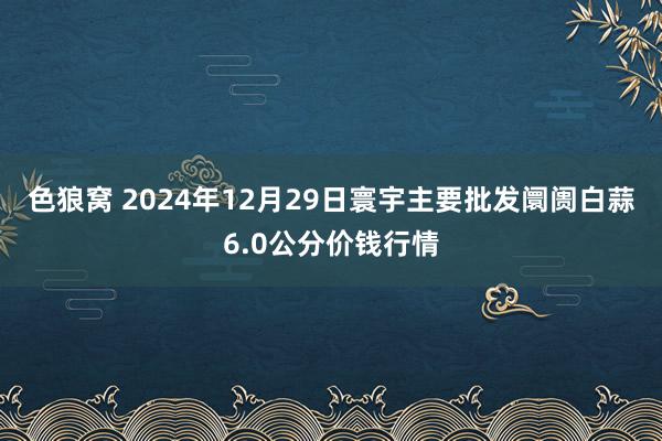 色狼窝 2024年12月29日寰宇主要批发阛阓白蒜6.0公分价钱行情