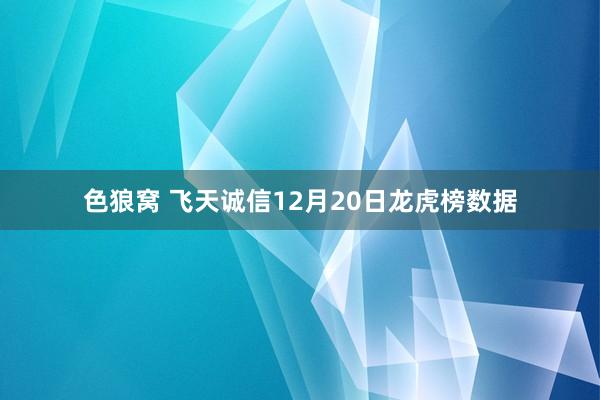 色狼窝 飞天诚信12月20日龙虎榜数据