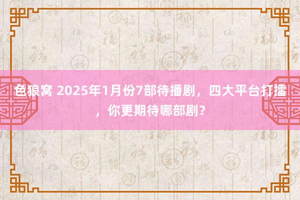 色狼窝 2025年1月份7部待播剧，四大平台打擂，你更期待哪