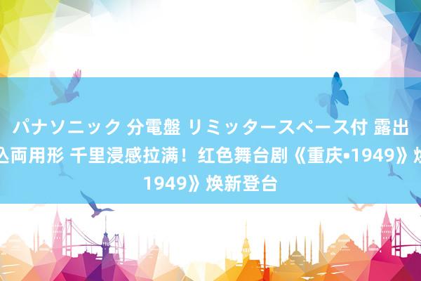 パナソニック 分電盤 リミッタースペース付 露出・半埋込両用