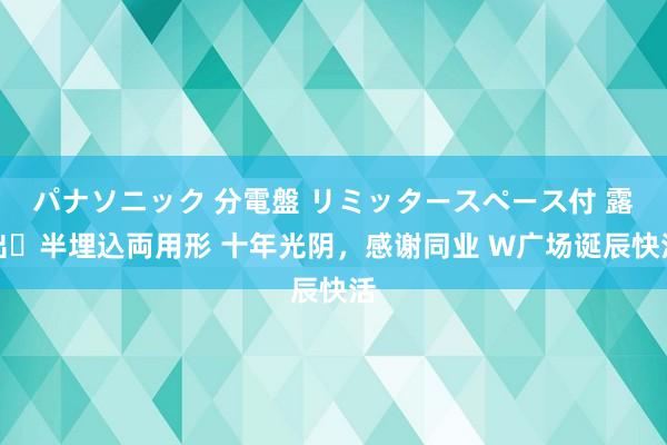 パナソニック 分電盤 リミッタースペース付 露出・半埋込両用形 十年光阴，感谢同业 W广场诞辰快活