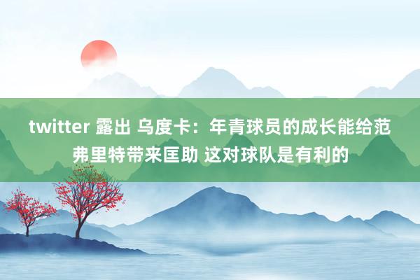 twitter 露出 乌度卡：年青球员的成长能给范弗里特带来