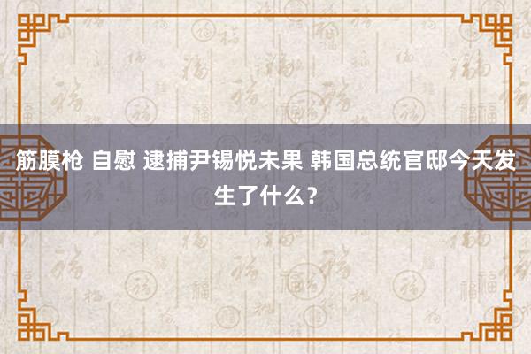 筋膜枪 自慰 逮捕尹锡悦未果 韩国总统官邸今天发生了什么？