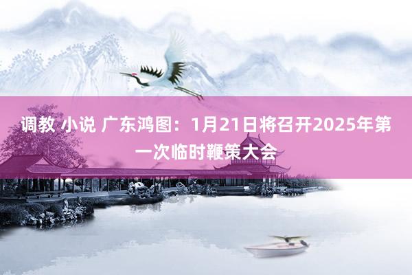 调教 小说 广东鸿图：1月21日将召开2025年第一次临时鞭