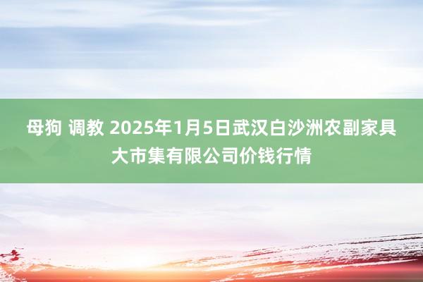 母狗 调教 2025年1月5日武汉白沙洲农副家具大市集有限公