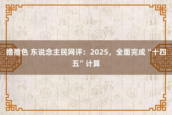 撸撸色 东说念主民网评：2025，全面完成“十四五”计算