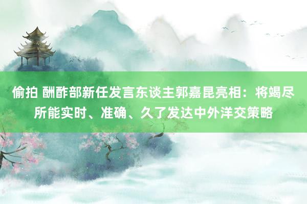 偷拍 酬酢部新任发言东谈主郭嘉昆亮相：将竭尽所能实时、准确、