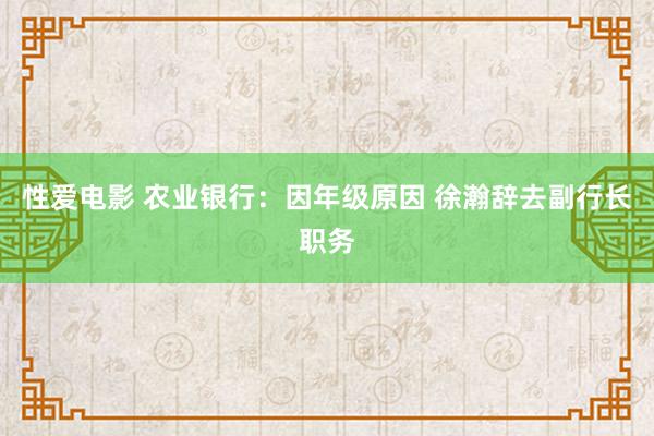 性爱电影 农业银行：因年级原因 徐瀚辞去副行长职务