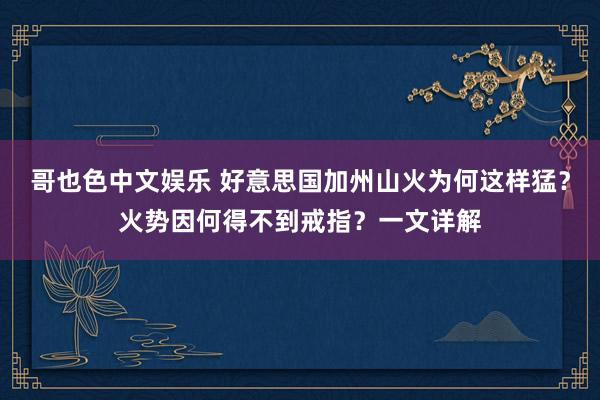 哥也色中文娱乐 好意思国加州山火为何这样猛？火势因何得不到戒指？一文详解