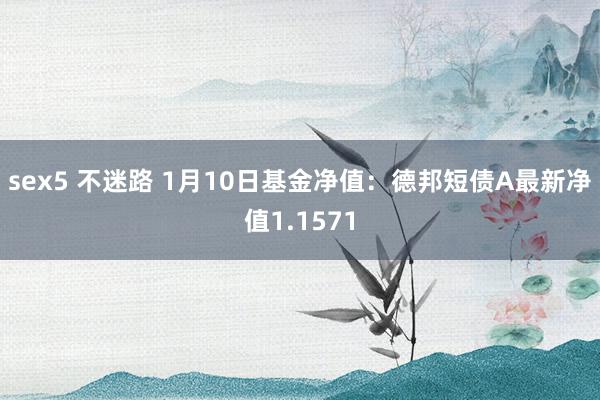 sex5 不迷路 1月10日基金净值：德邦短债A最新净值1.1571