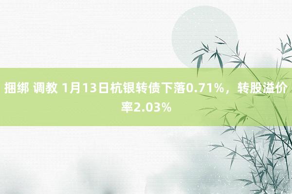 捆绑 调教 1月13日杭银转债下落0.71%，转股溢价率2.03%