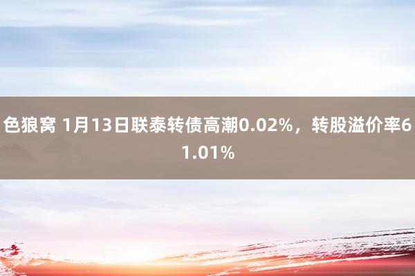 色狼窝 1月13日联泰转债高潮0.02%，转股溢价率61.01%