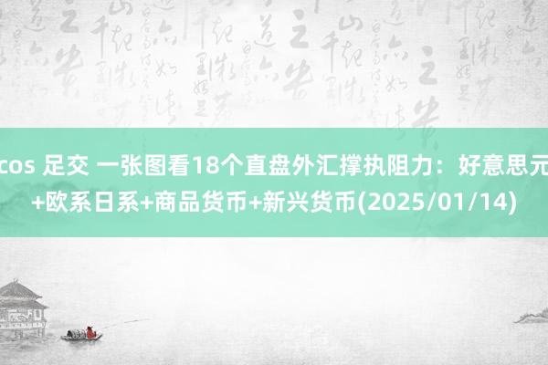 cos 足交 一张图看18个直盘外汇撑执阻力：好意思元+欧系日系+商品货币+新兴货币(2025/01/14)