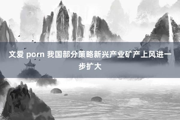 文爱 porn 我国部分策略新兴产业矿产上风进一步扩大