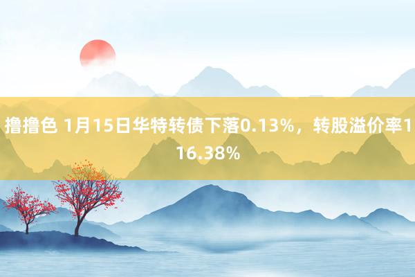 撸撸色 1月15日华特转债下落0.13%，转股溢价率116.38%