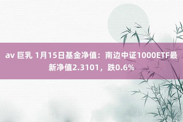 av 巨乳 1月15日基金净值：南边中证1000ETF最新净